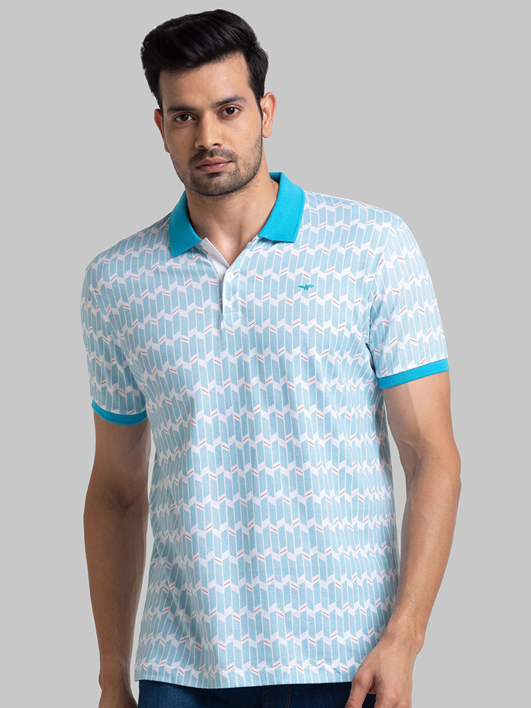 

Park Avenue Men Blue Polo Collar Slim Fit T-shirt