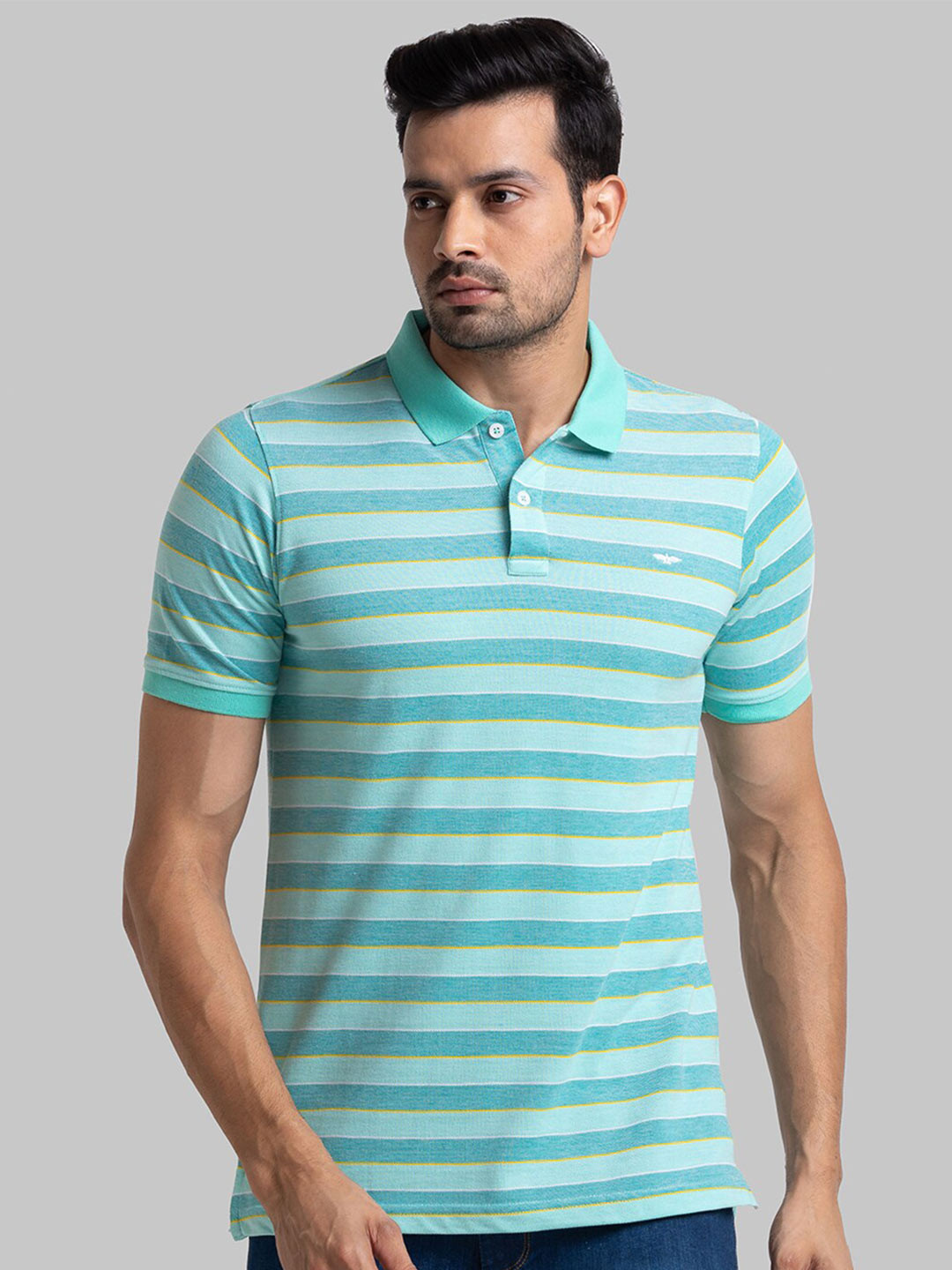 

Park Avenue Men Green Striped Polo Collar Slim Fit T-shirt