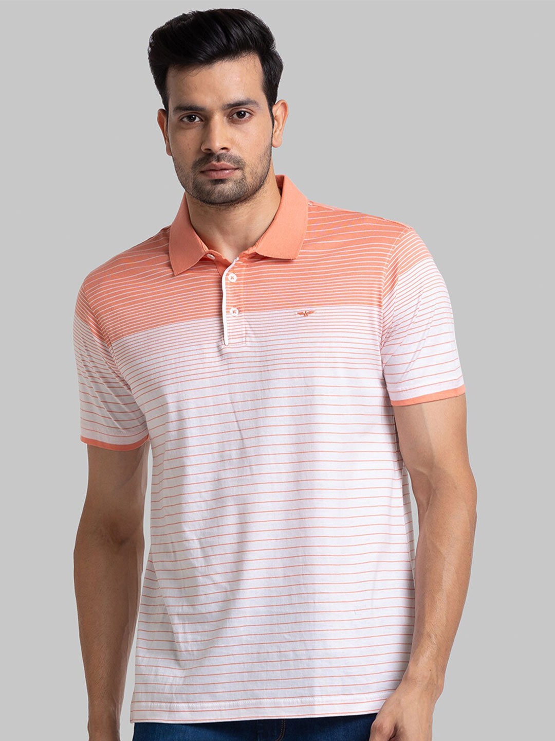 

Park Avenue Men Red Striped Polo Collar Slim Fit T-shirt