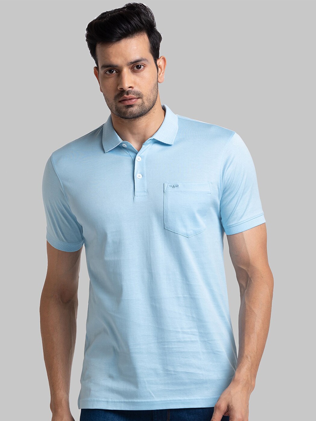 

Park Avenue Men Blue Striped Polo Collar Slim Fit T-shirt