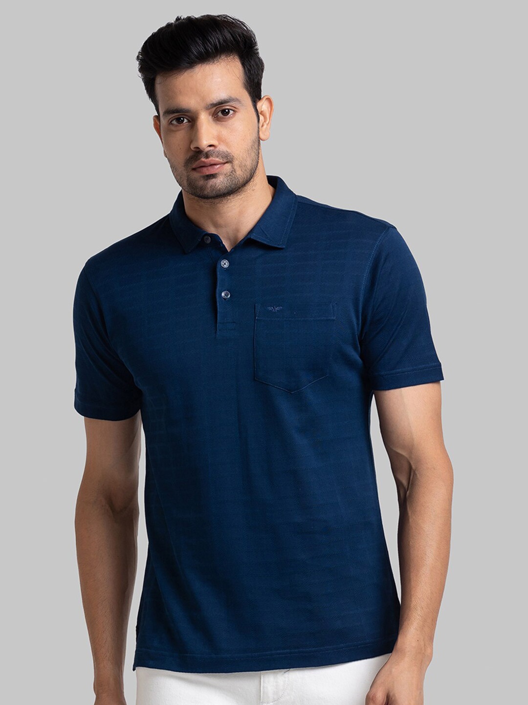 

Park Avenue Men Blue Polo Collar Slim Fit T-shirt