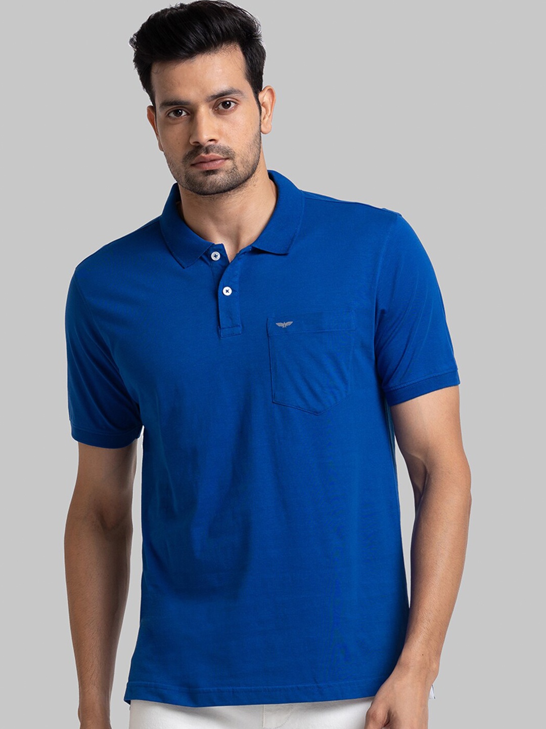 

Park Avenue Men Blue Polo Collar T-shirt