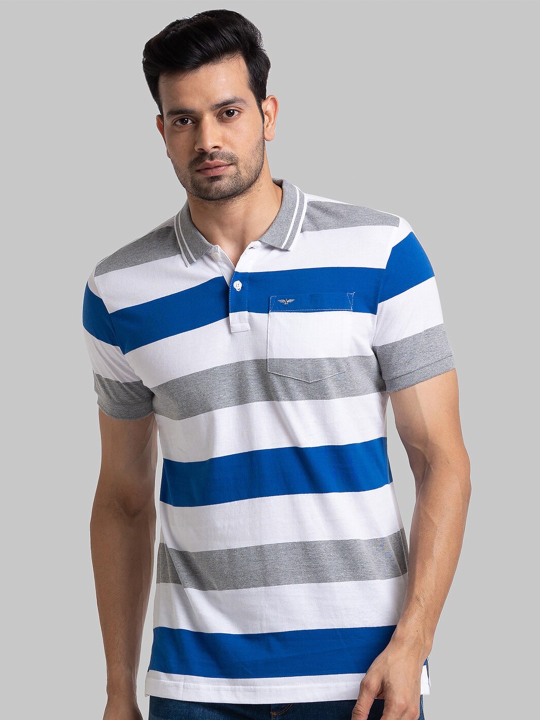 

Park Avenue Men Blue Striped Polo Collar Slim Fit T-shirt
