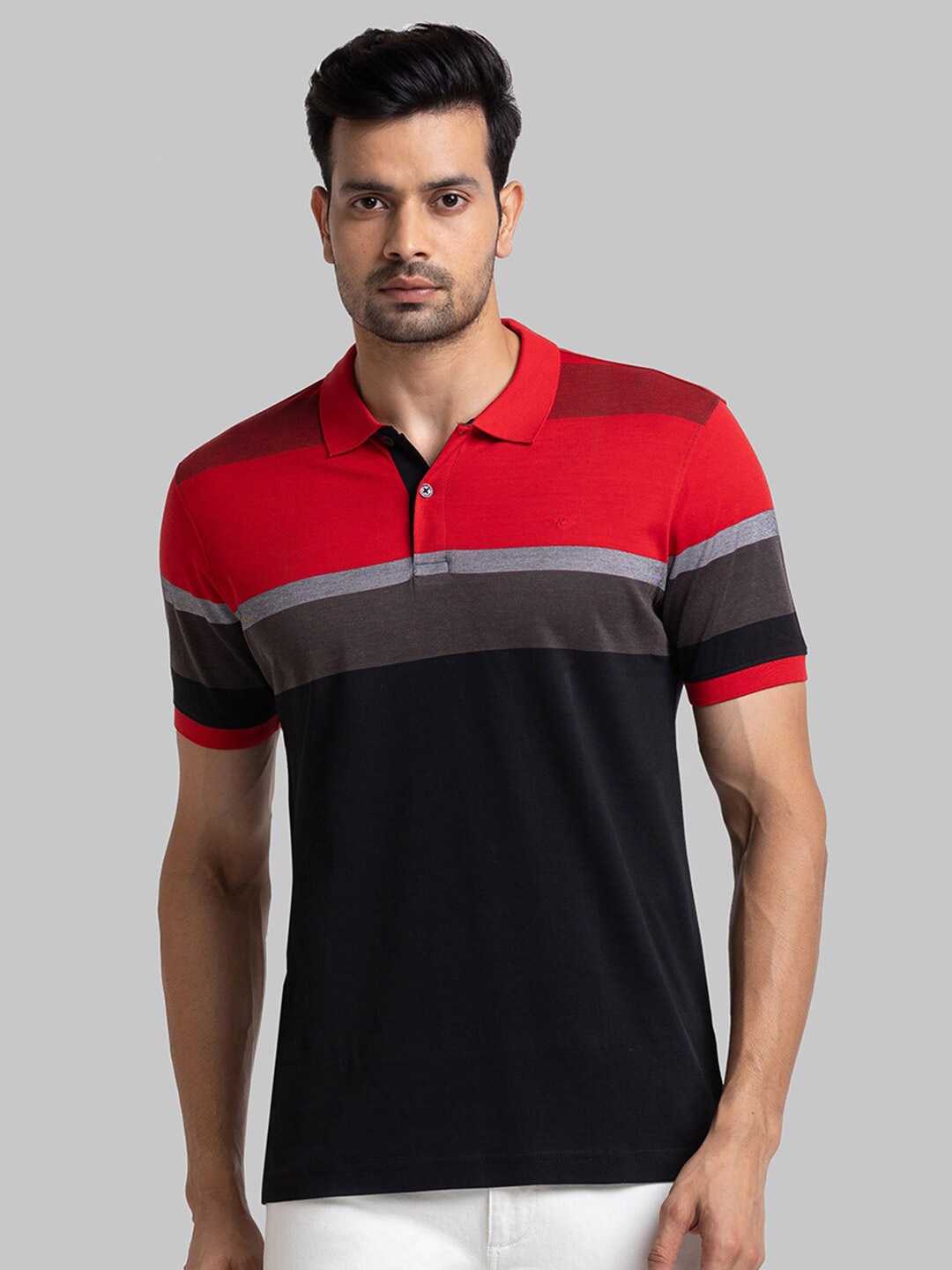 

Park Avenue Men Red Colourblocked Polo Collar Slim Fit T-shirt