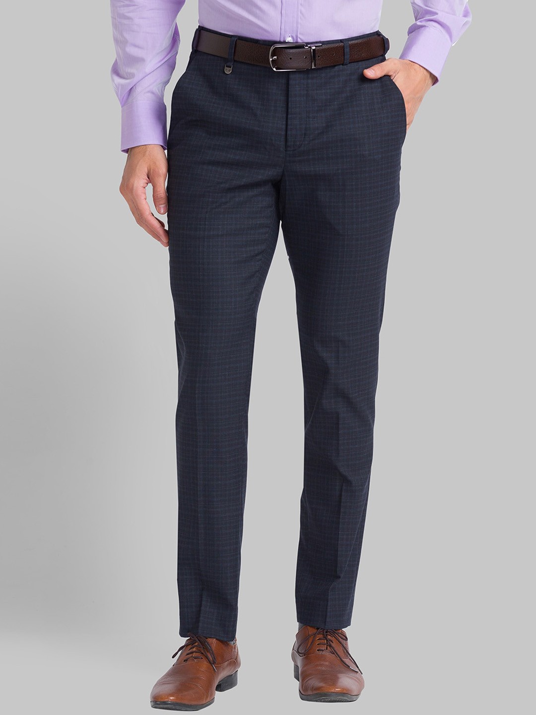 

Park Avenue Men Blue Checked Trousers