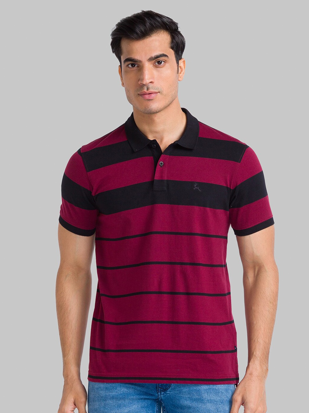 

Parx Men Maroon Striped Polo Collar T-shirt