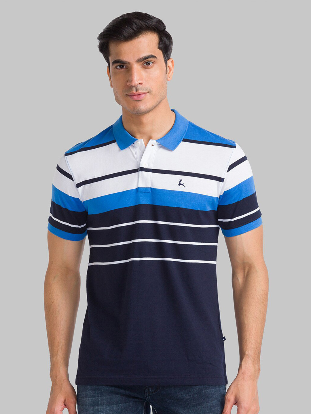 

Parx Men Blue Striped Polo Collar T-shirt