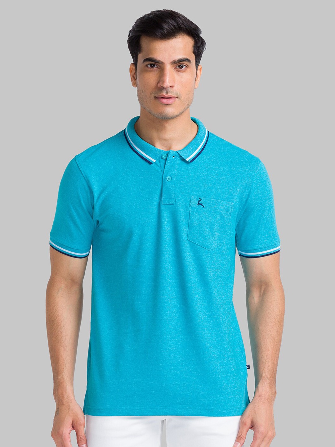 

Parx Men Green Polo Collar T-shirt