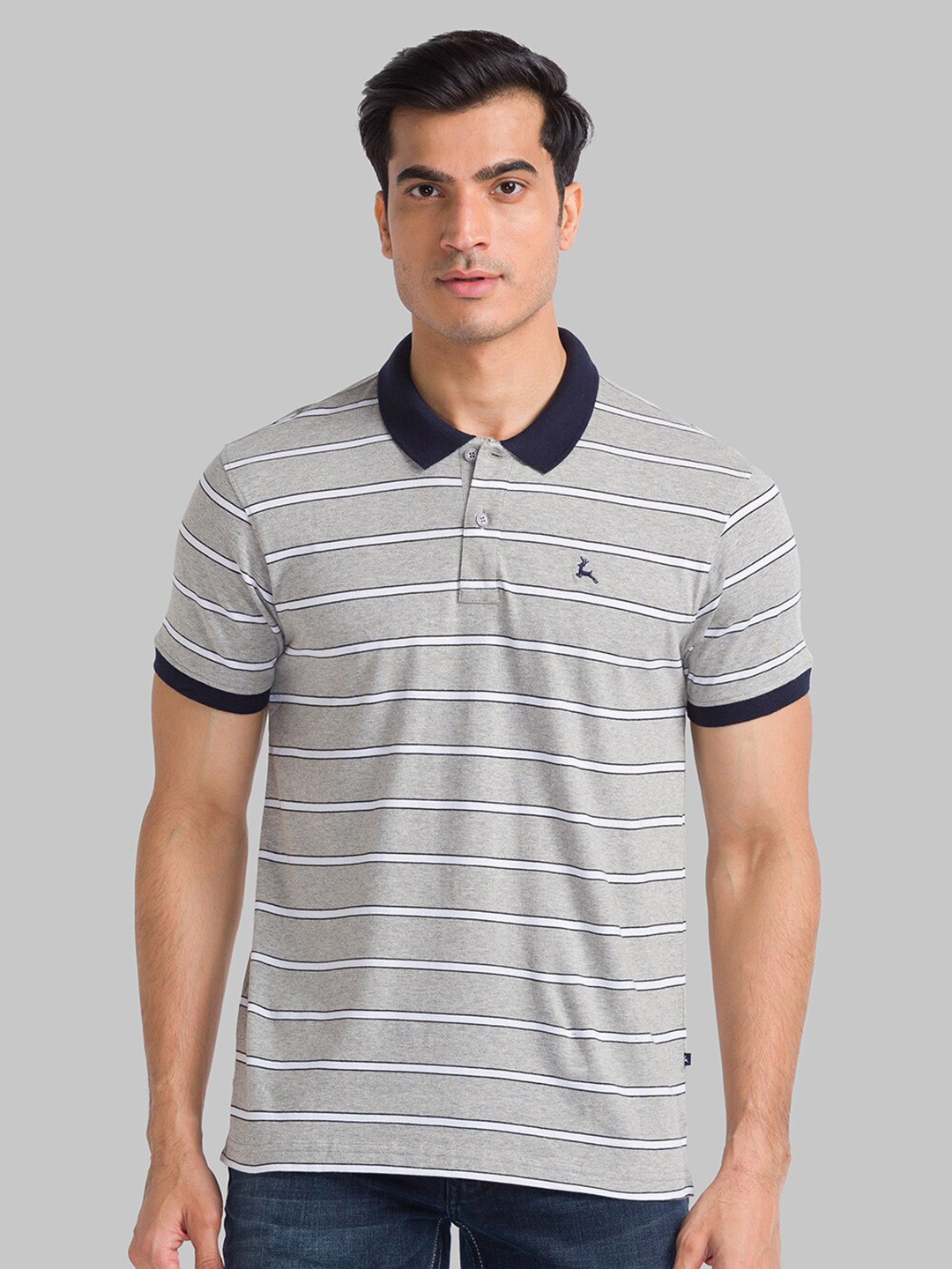 

Parx Men Grey Striped Polo Collar T-shirt