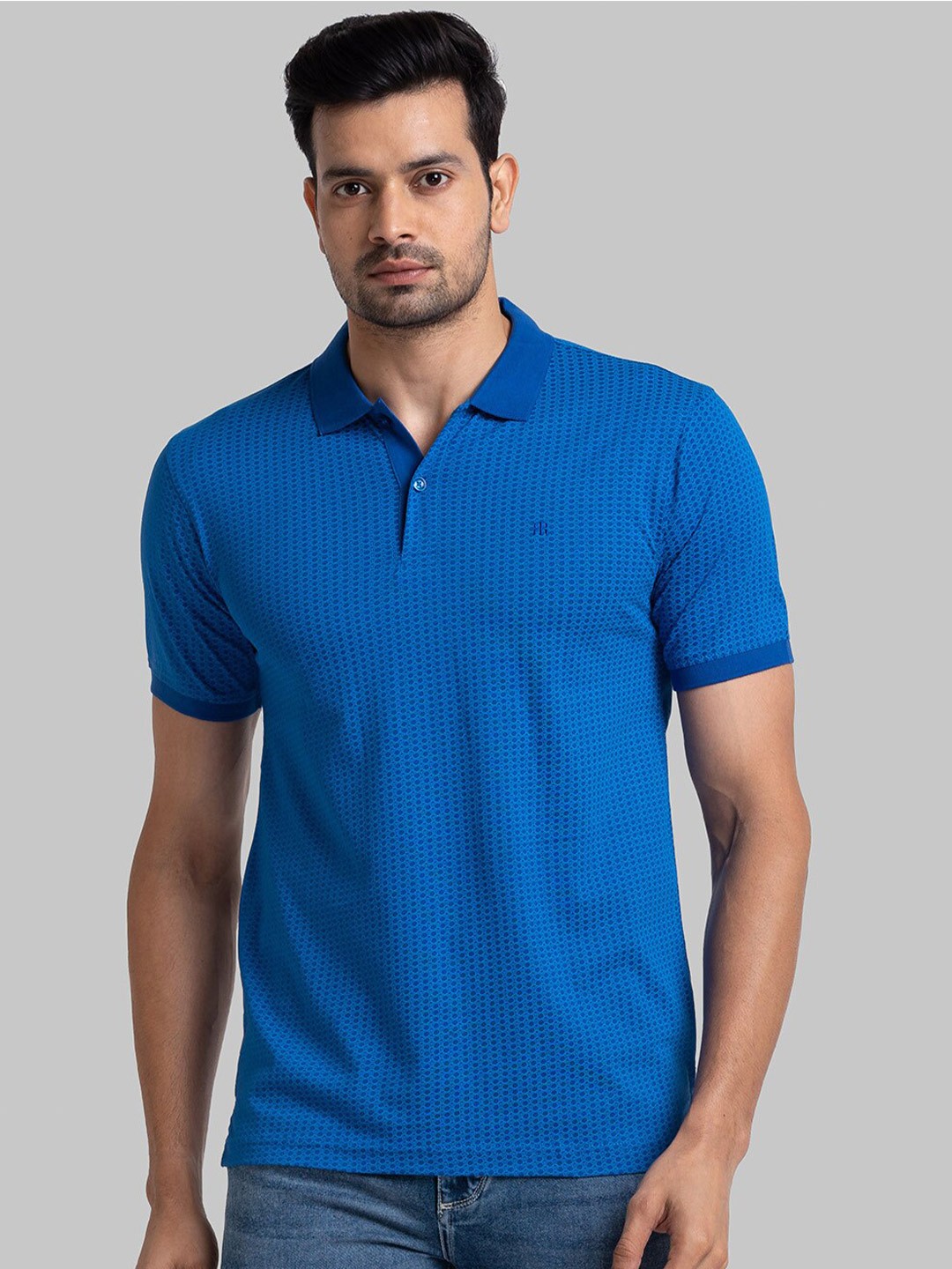 

Raymond Men Blue Tshirts
