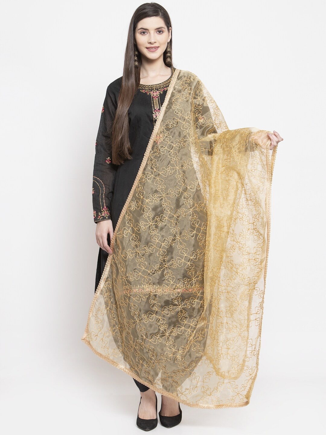 

mf Beige Embroidered Organza Dupatta With Thread Work