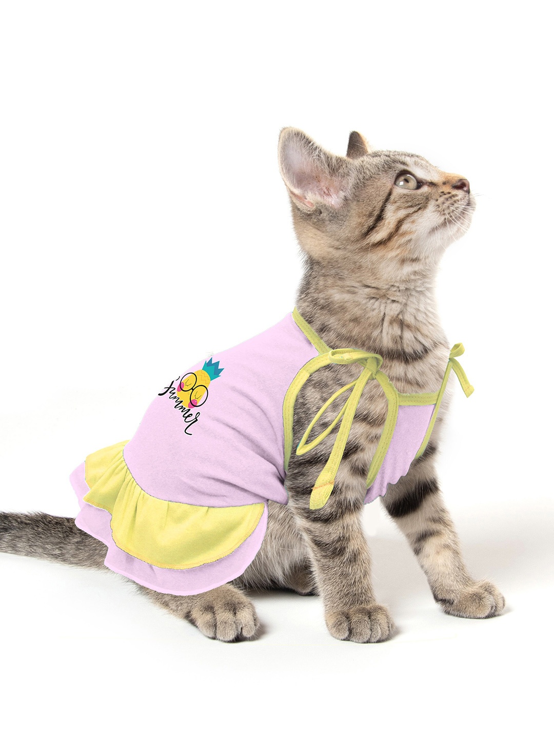 

Dchica Paws Pink Printed Cotton Cat Dress