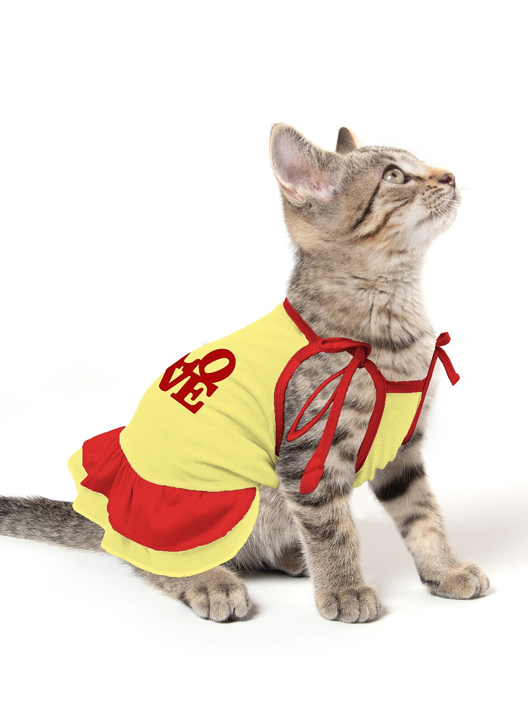 

Dchica Paws Red & Yellow Printed Cat Dresses