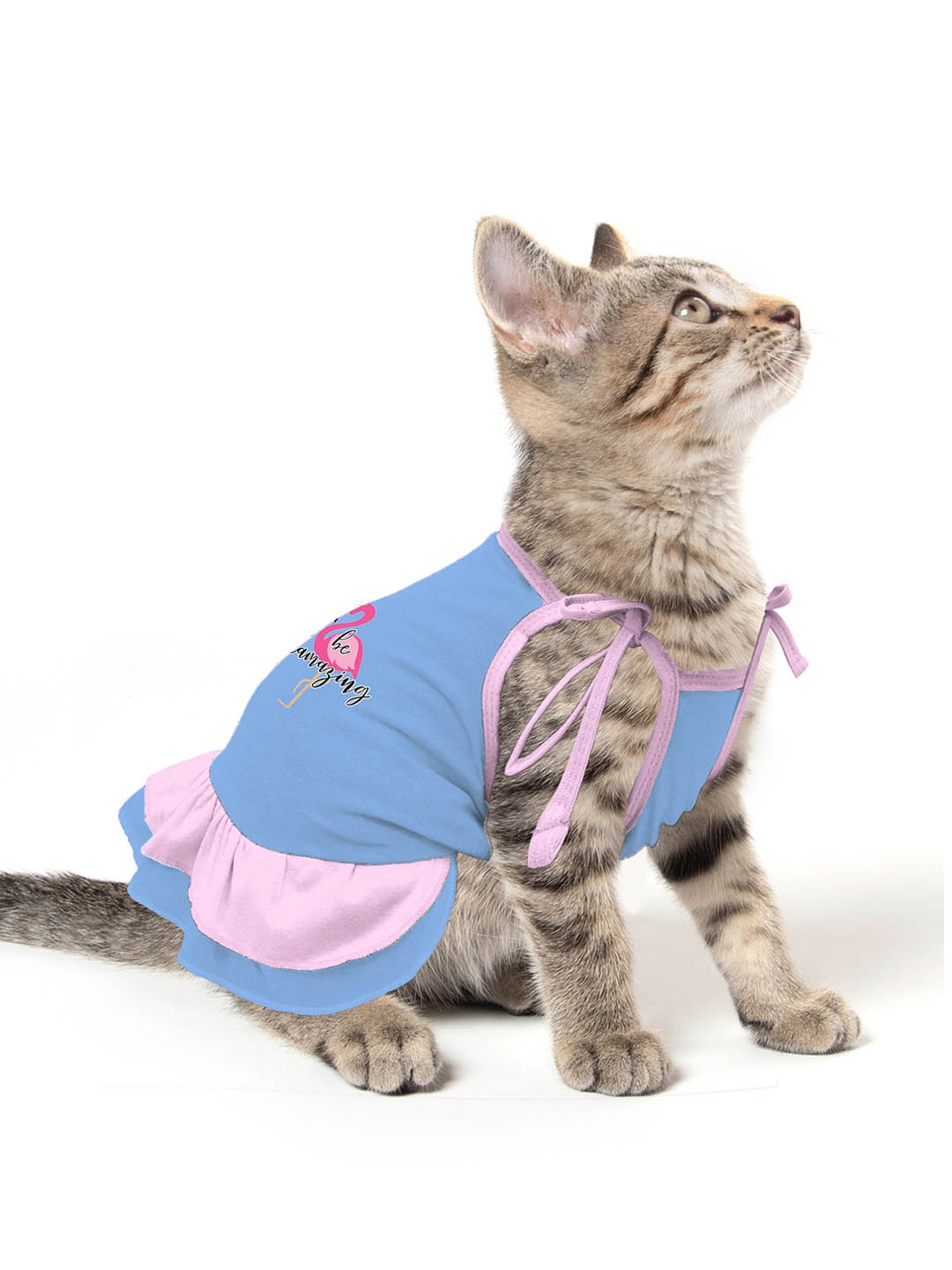 

Dchica Paws Blue & Pink Printed Cotton Cat Dress