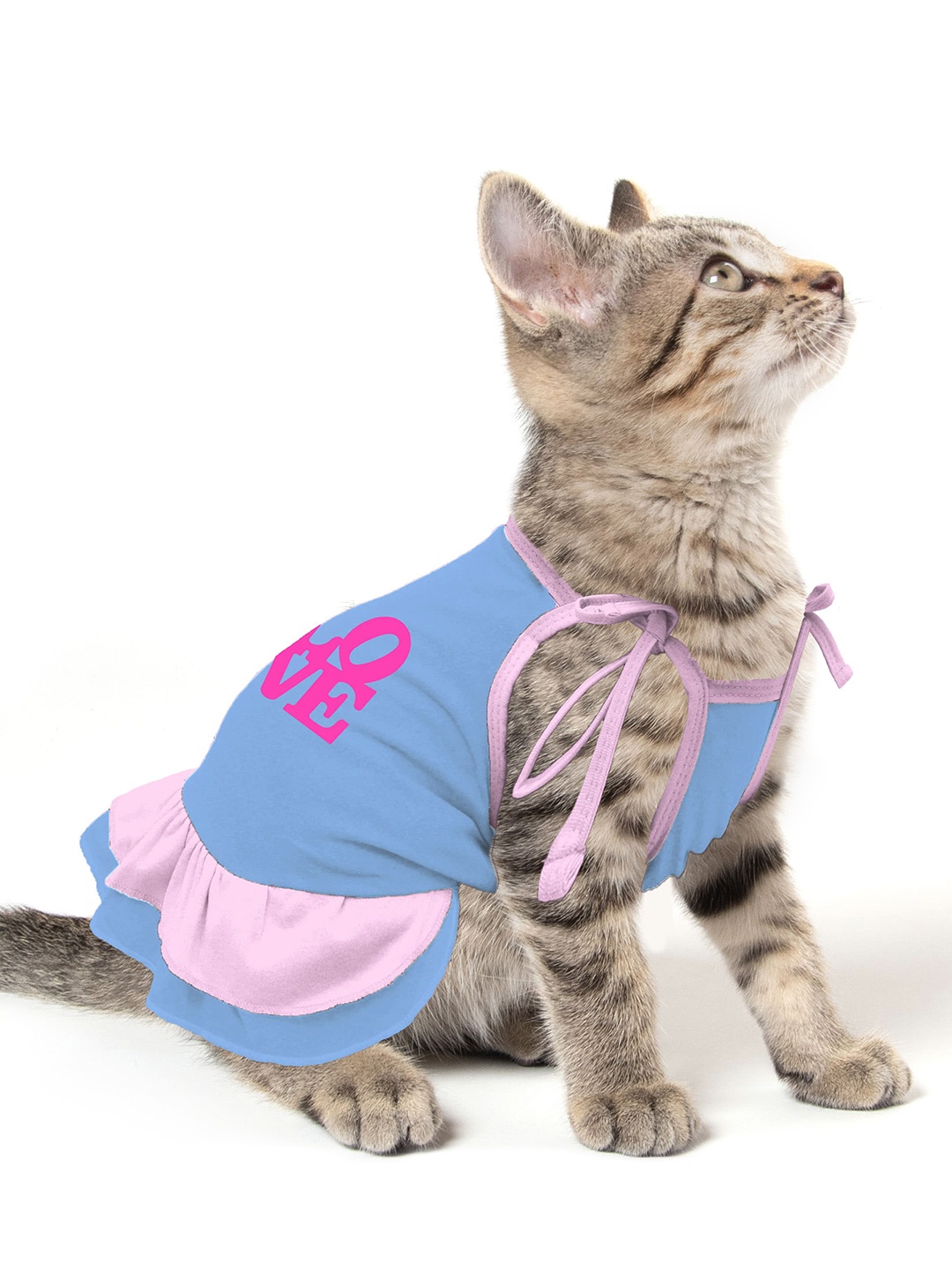 

Dchica Paws Pink & Blue Printed Cotton Cat Dresses