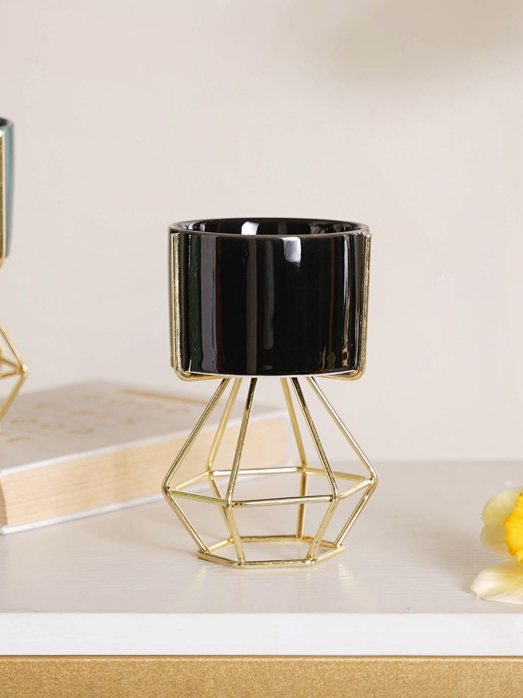 

Nestasia Black and Gold Modern Cylindrical Succulent Planter With Holder