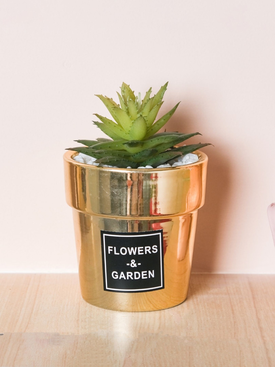 

Nestasia Green & Gold Artificial Succulent Pot