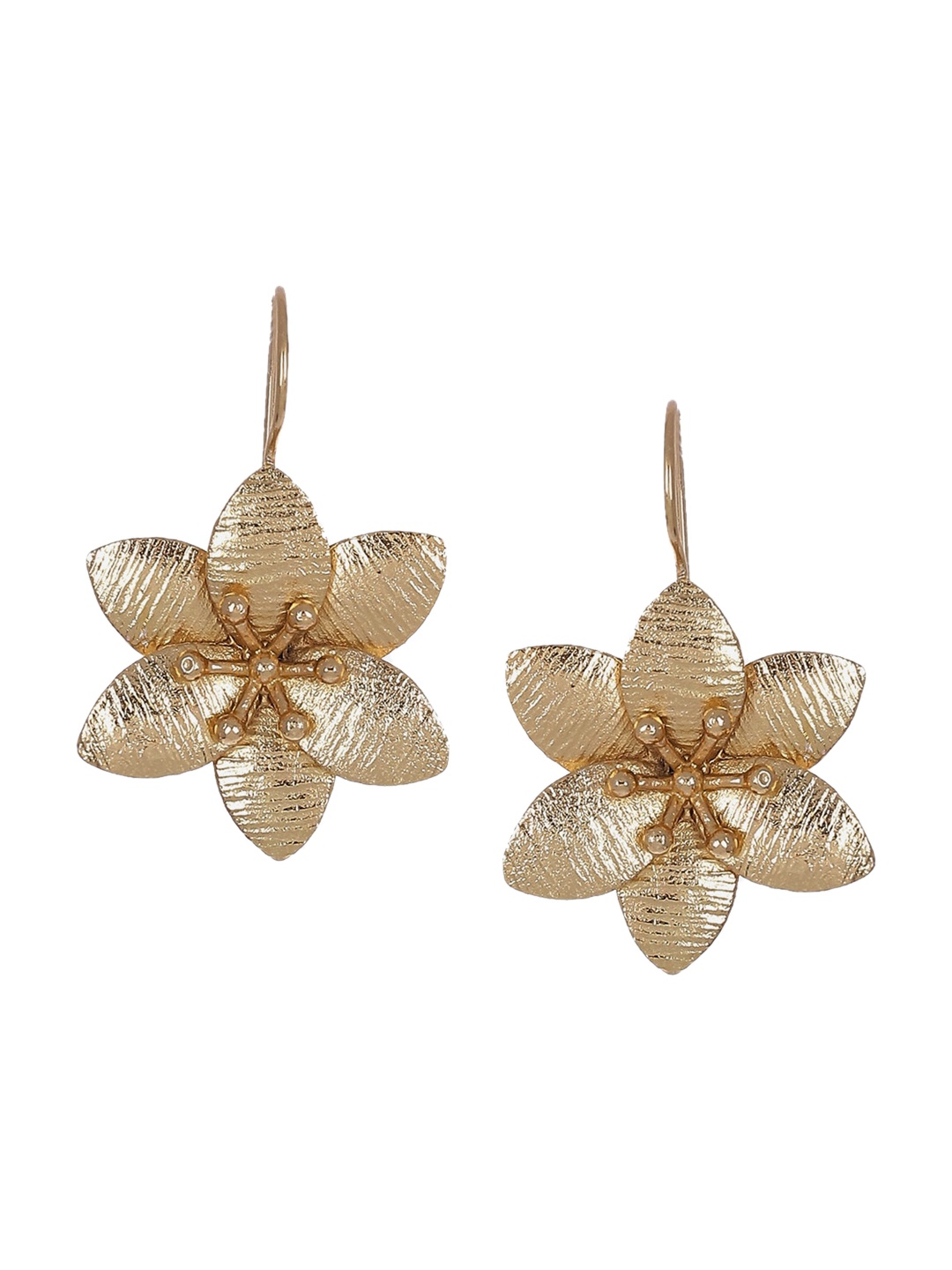 

Biba Women Gold-Toned Drop Earrings