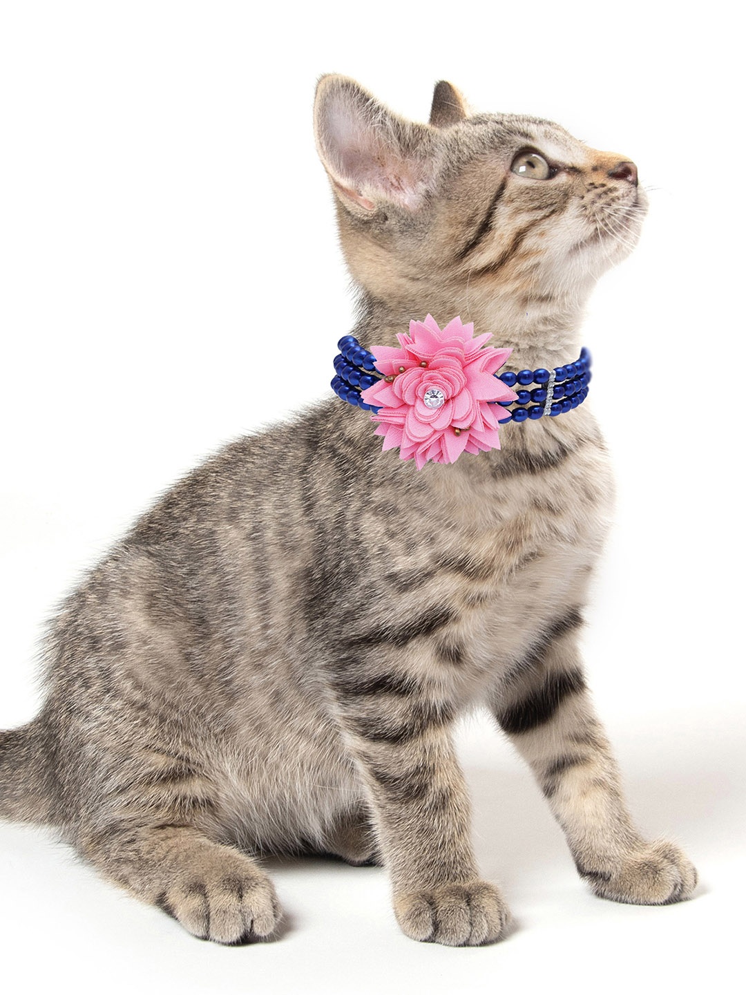

D'chica Paws Faux Pearl Adjustable Jewellery For Cats & Kittens, Blue