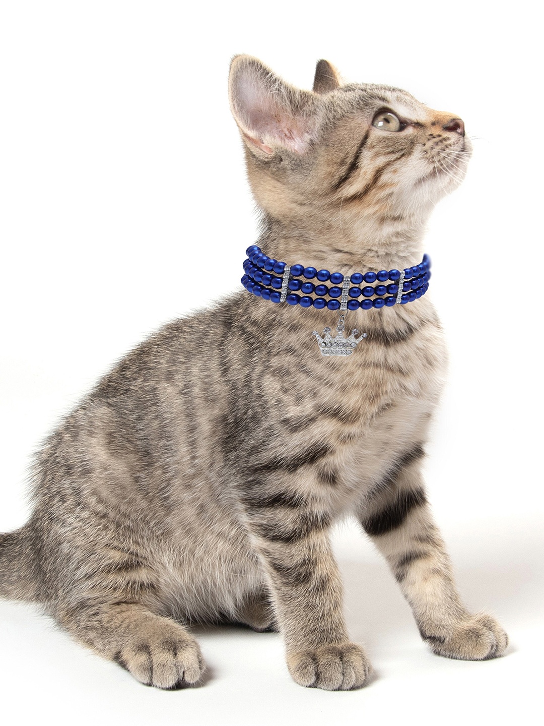 

Dchica Paws Blue Pearl Beaded Adjustable Pet Collar With Detachable Buckle