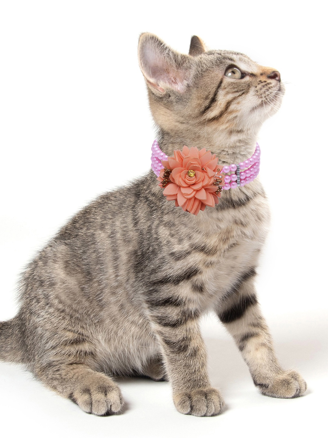 

Dchica Paws Pink Pearl Beaded Adjustable Pet Collar