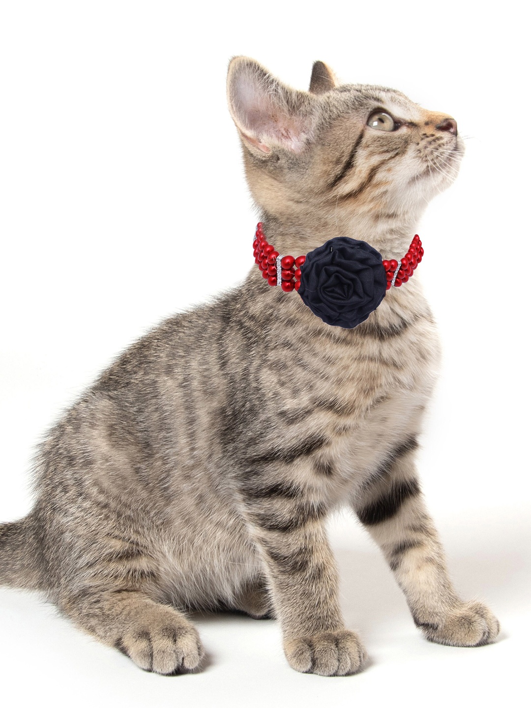 

Dchica Paws Red & Black Self-Design Cat Collar