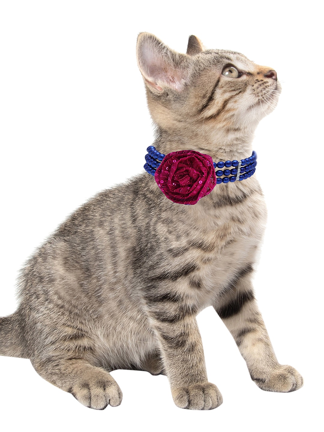 

Dchica Paws Blue & Silver-Toned Beaded Cat Collars