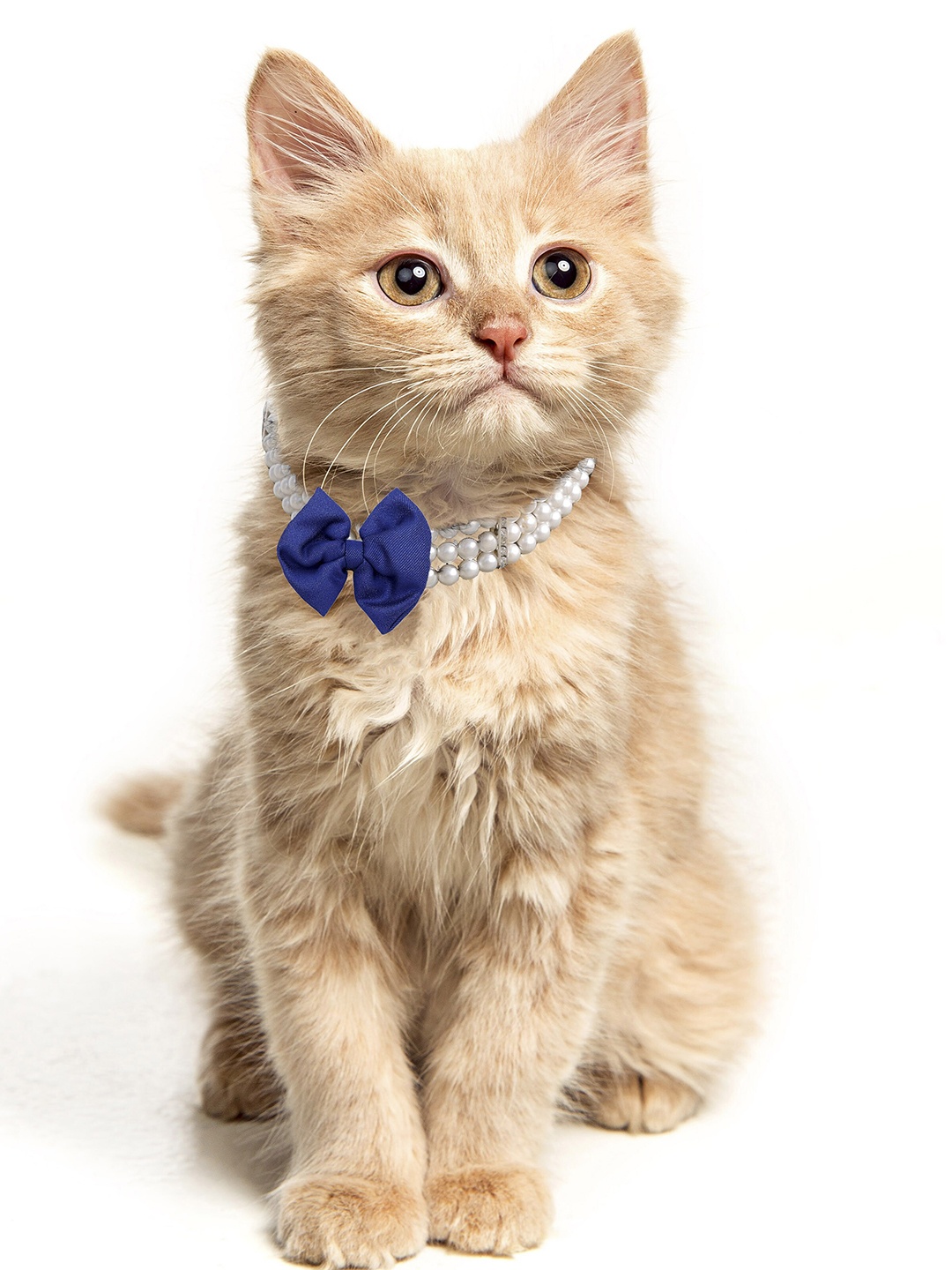 

Dchica Paws White & Blue Pearl Beaded Adjustable Pet Collar With Detachable Buckle