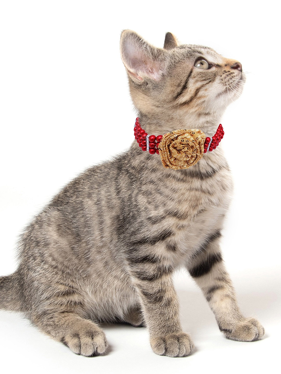 

Dchica Paws Red Solid Pet Collars