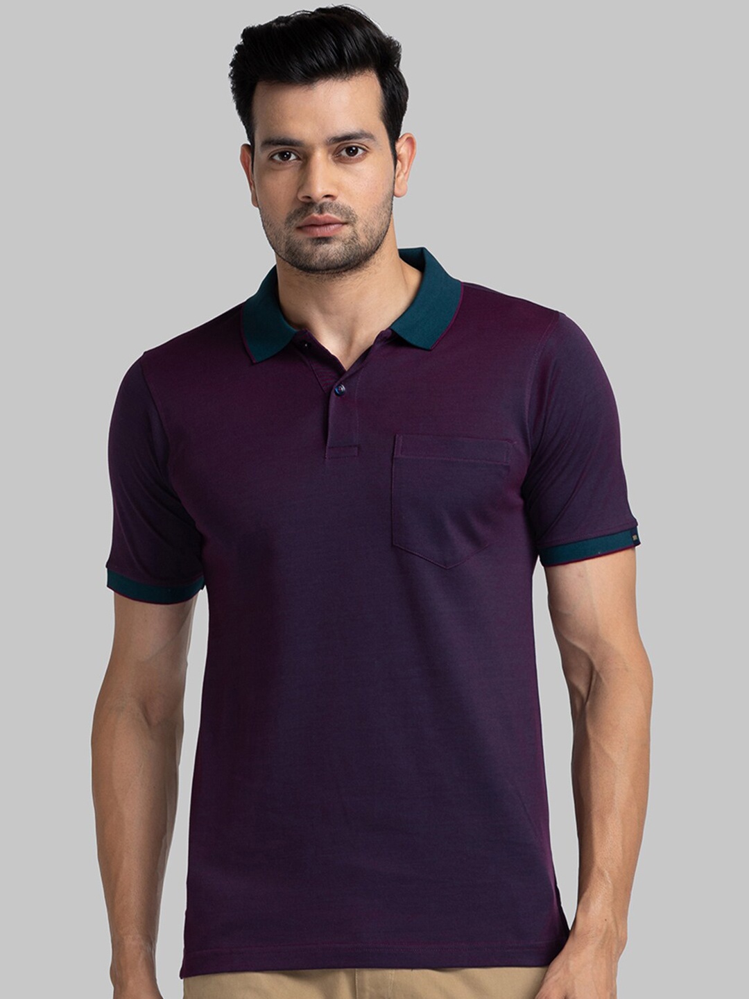 

Raymond Polo Collar Cotton T-shirt, Purple