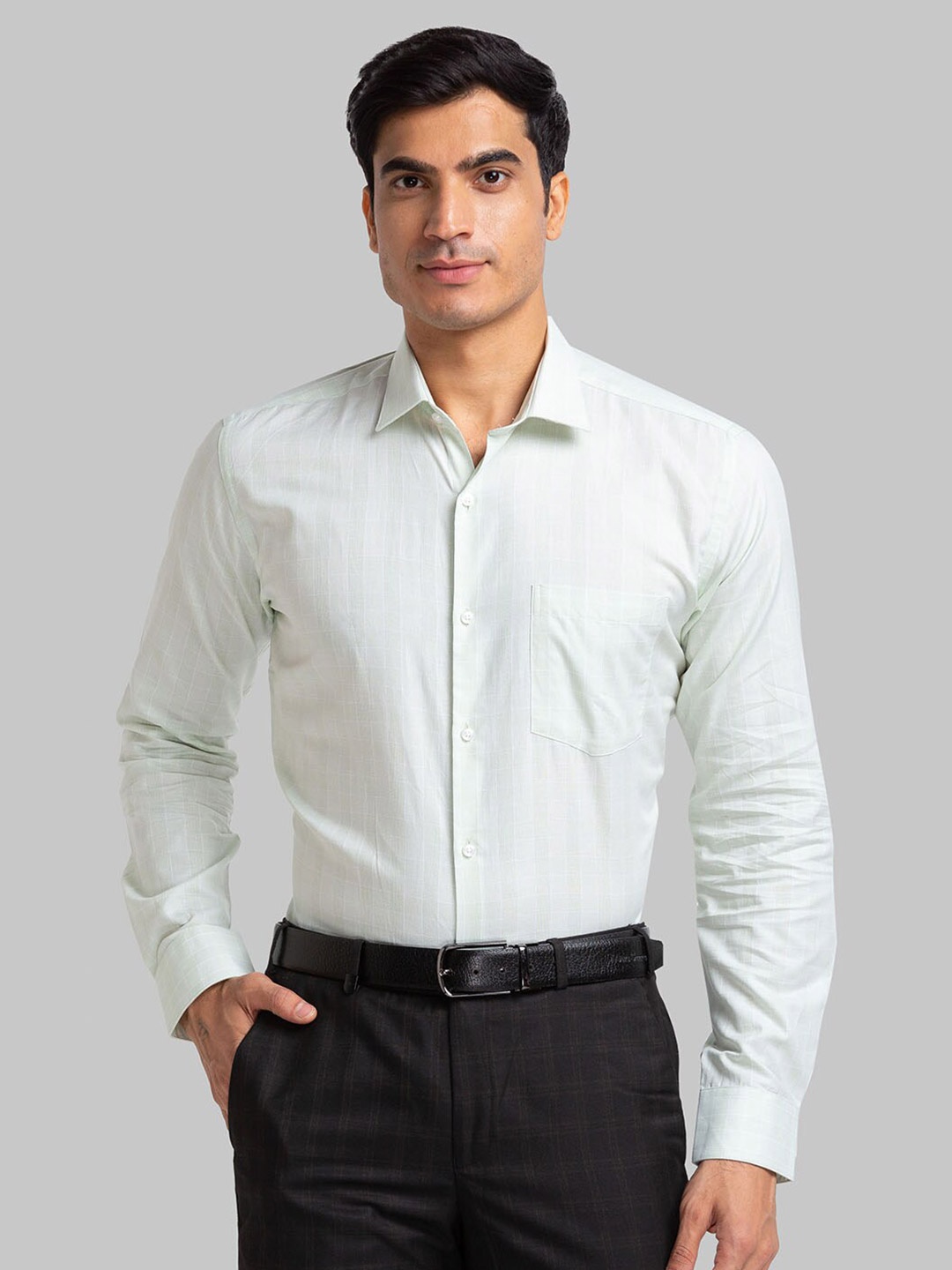 

Park Avenue Men Light Green Slim Fit Formal Shirt