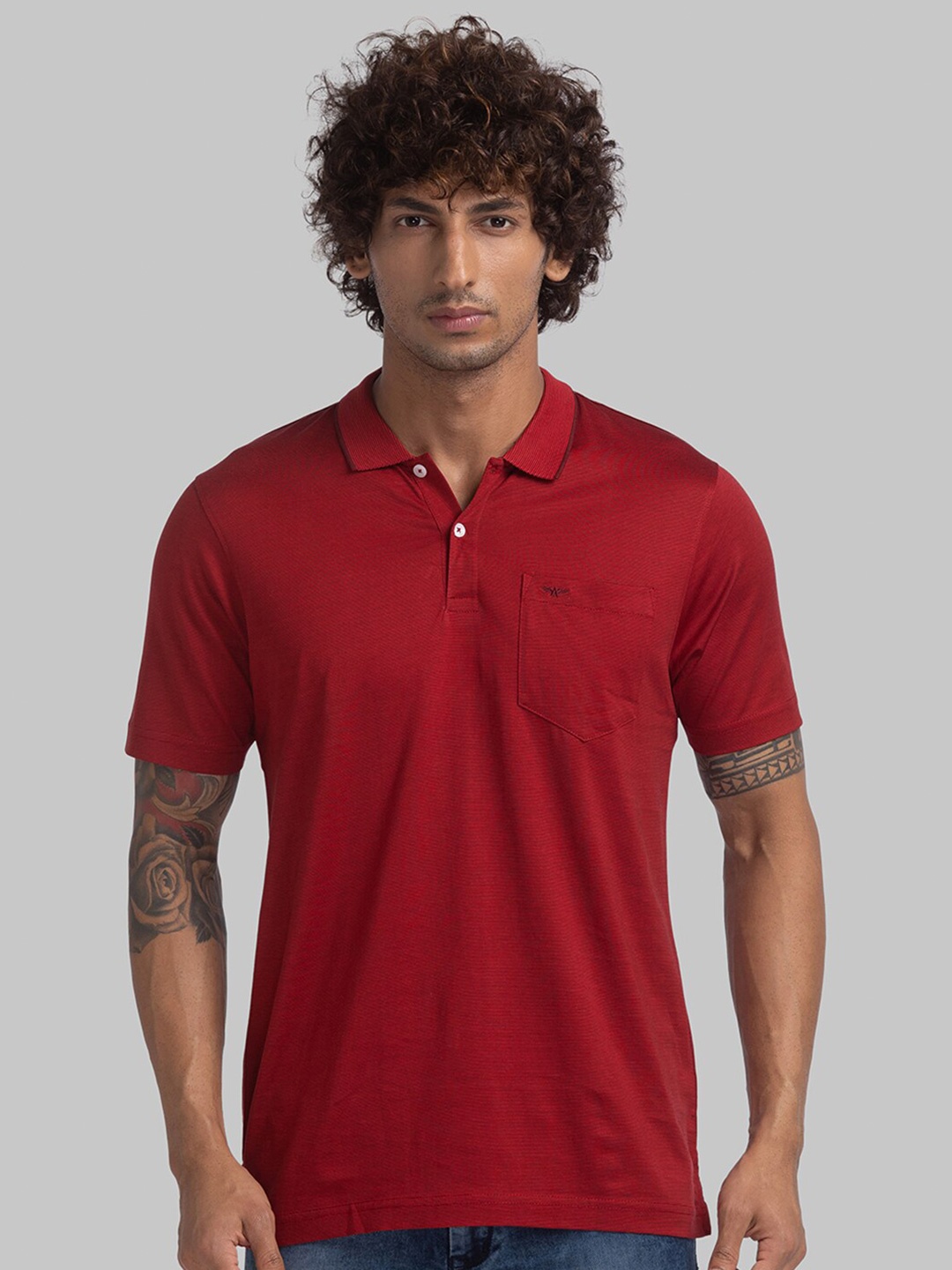 

Park Avenue Men Red Polo Collar Slim Fit T-shirt