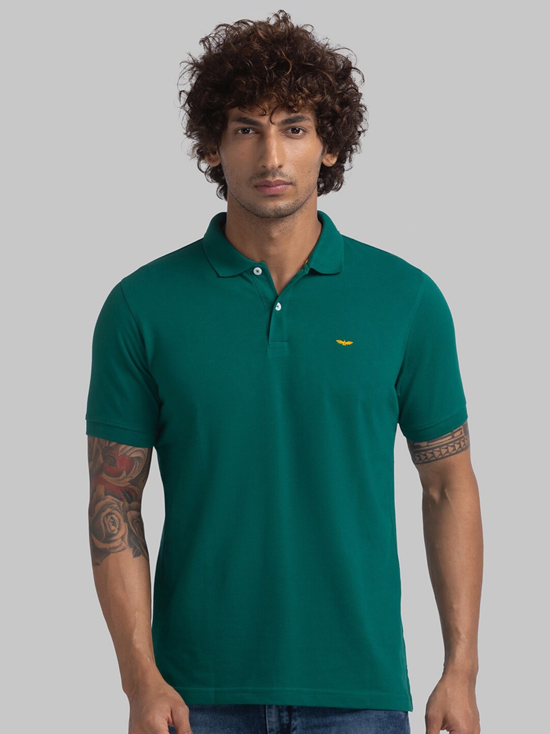 

Park Avenue Men Green Polo Collar Slim Fit T-shirt