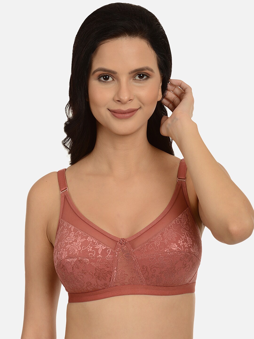 

mod & shy Women Brown Everyday Bra