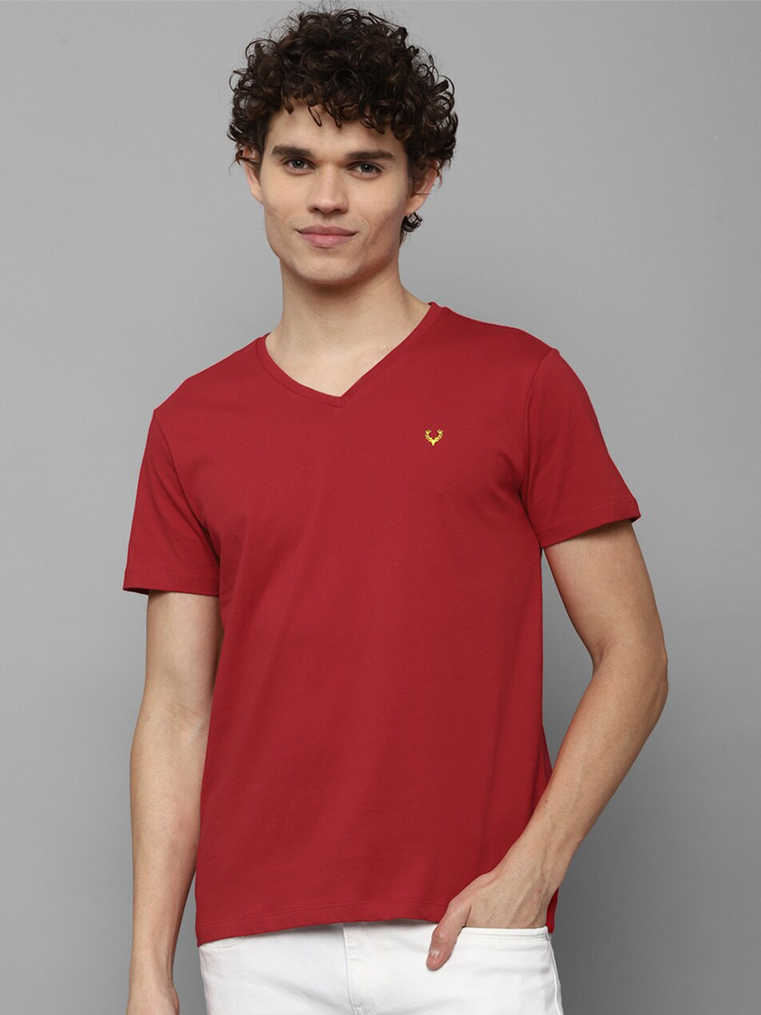 

Allen Solly Men Maroon V-Neck T-shirt