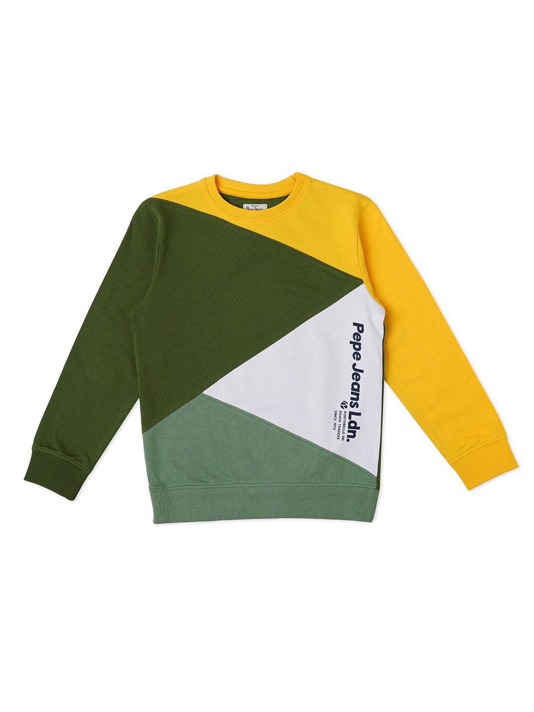 Pepe Jeans Boys Green Colourblocked Sweatshirt