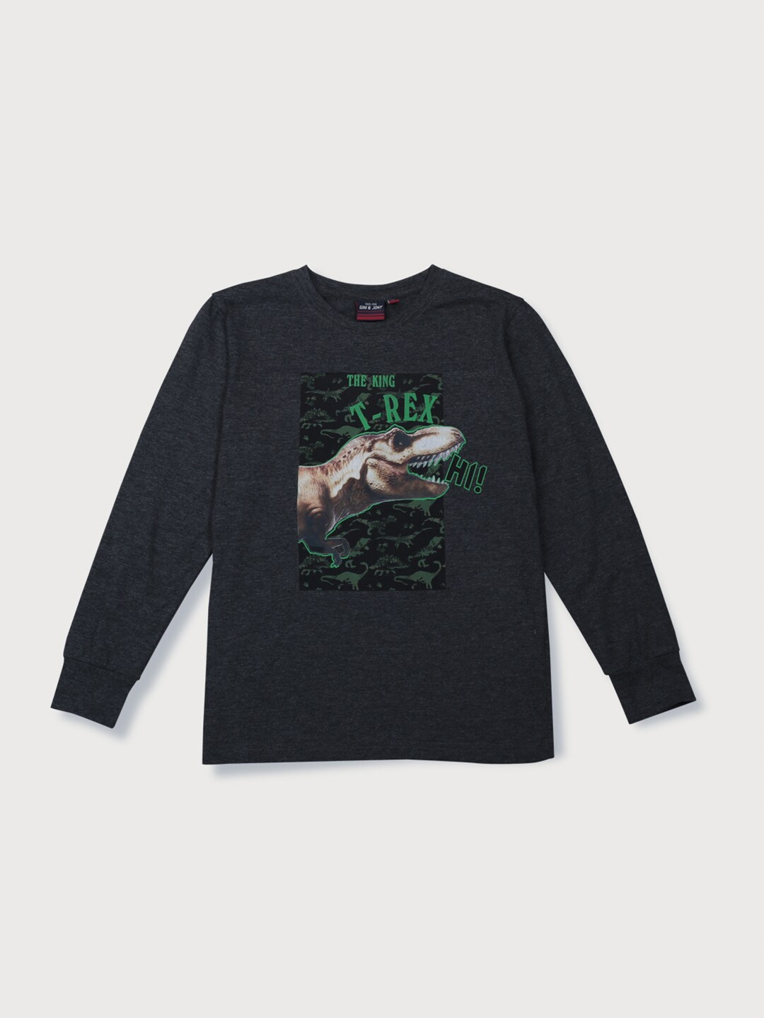 

Gini and Jony Boys Grey Printed T-shirt