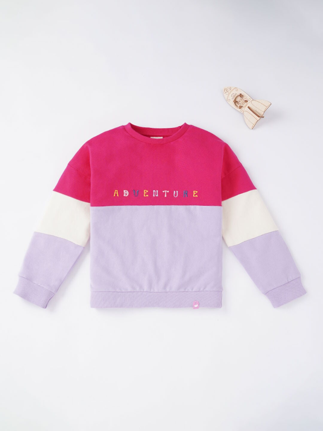 

Ed-a-Mamma Girls Pink Colourblocked Sweatshirt