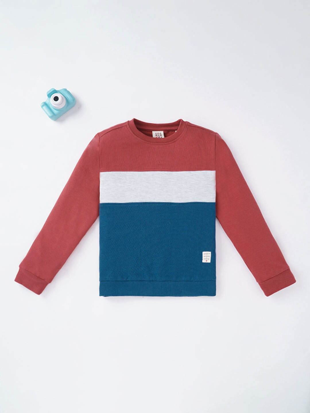 

Ed-a-Mamma Boys Red & Blue Colourblocked Sweatshirt