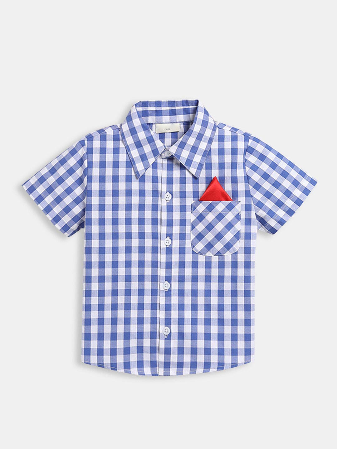 

Hopscotch Boys Blue & White Gingham Checks Checked Cotton Casual Shirt