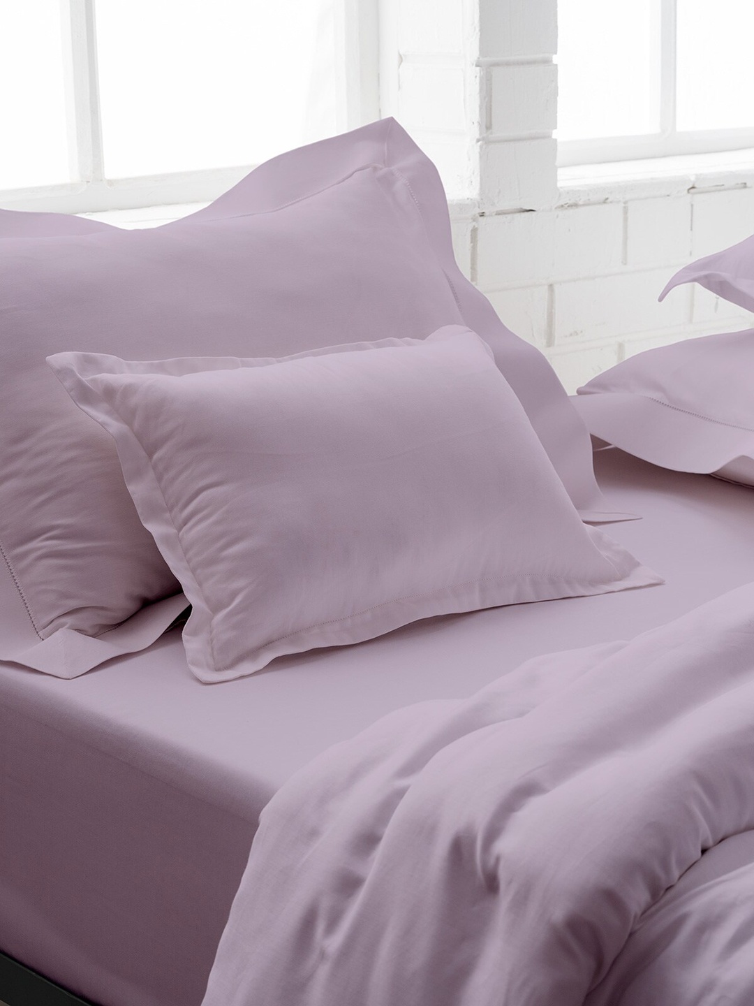 

DDecor Purple Colored Solid 200TC Cotton Double King Bedding Set