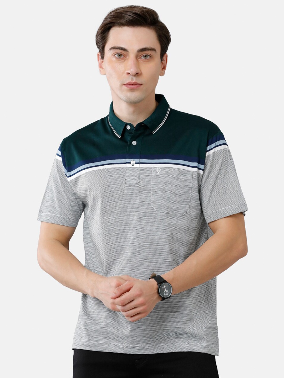 

Classic Polo Men Green & Grey Colourblocked Polo Collar Pure Cotton T-shirt