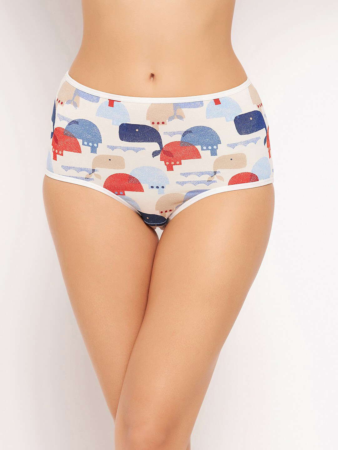 

Clovia Women Nude & Blue Printed Hipster Briefs