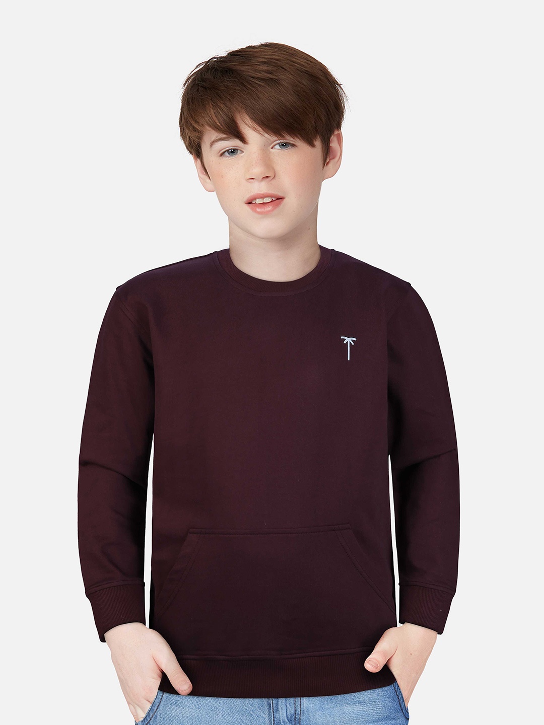 

Palm Tree Boys Maroon Cotton Sweatshirt