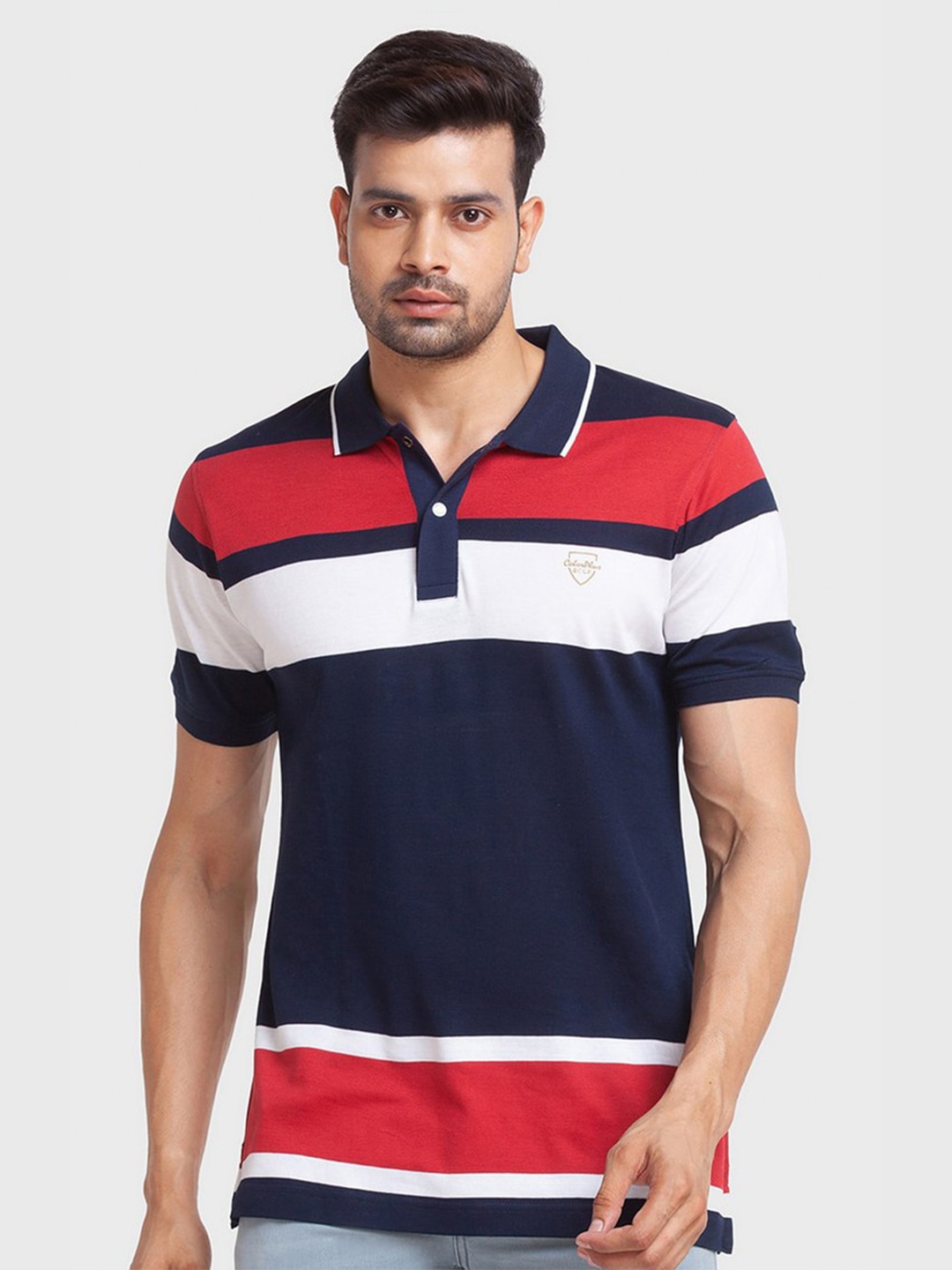 

ColorPlus Men Blue Colourblocked Polo Collar Organic Cotton Slim Fit T-shirt