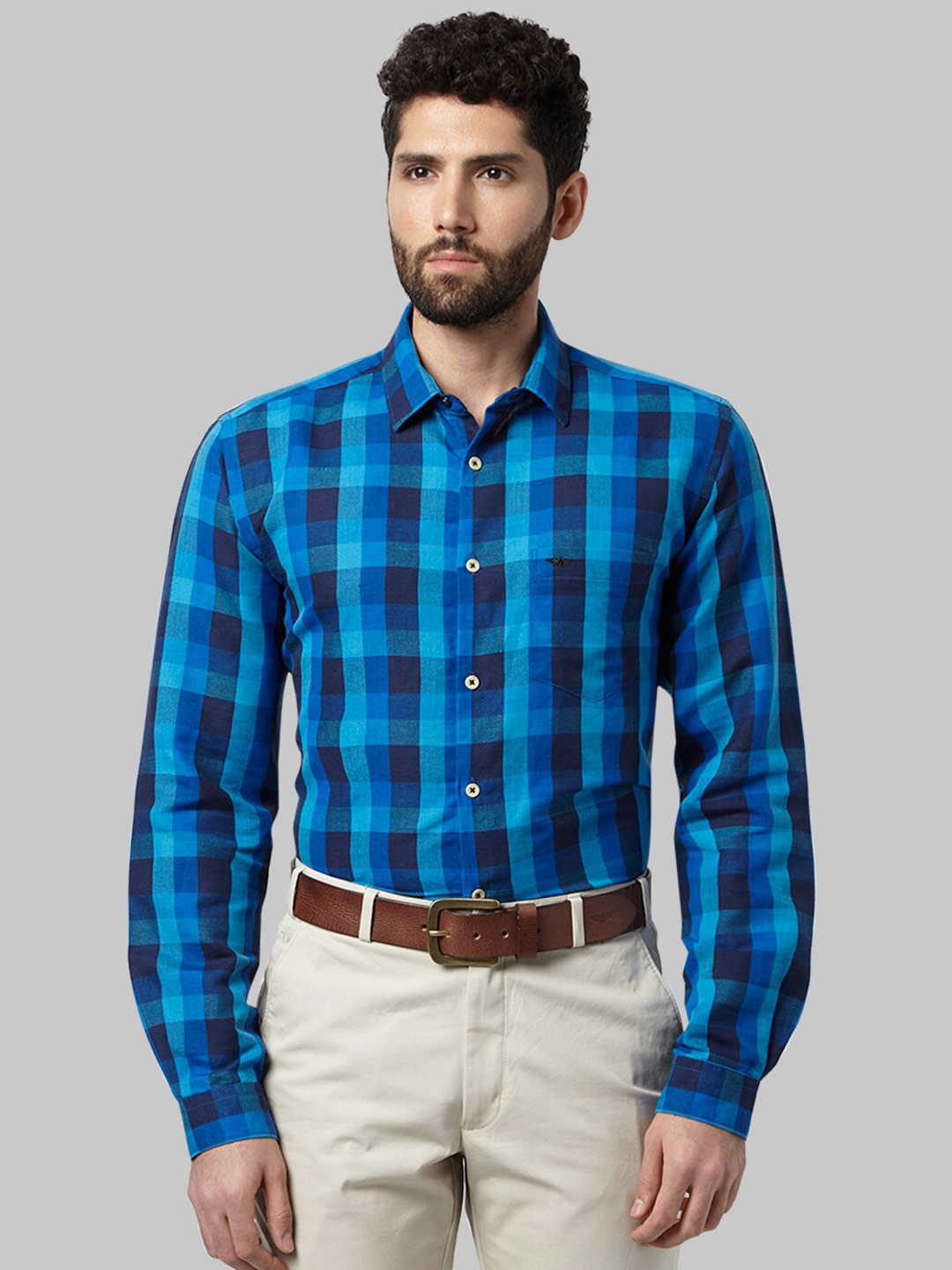 

Park Avenue Men Blue Slim Fit Checked Casual Shirt