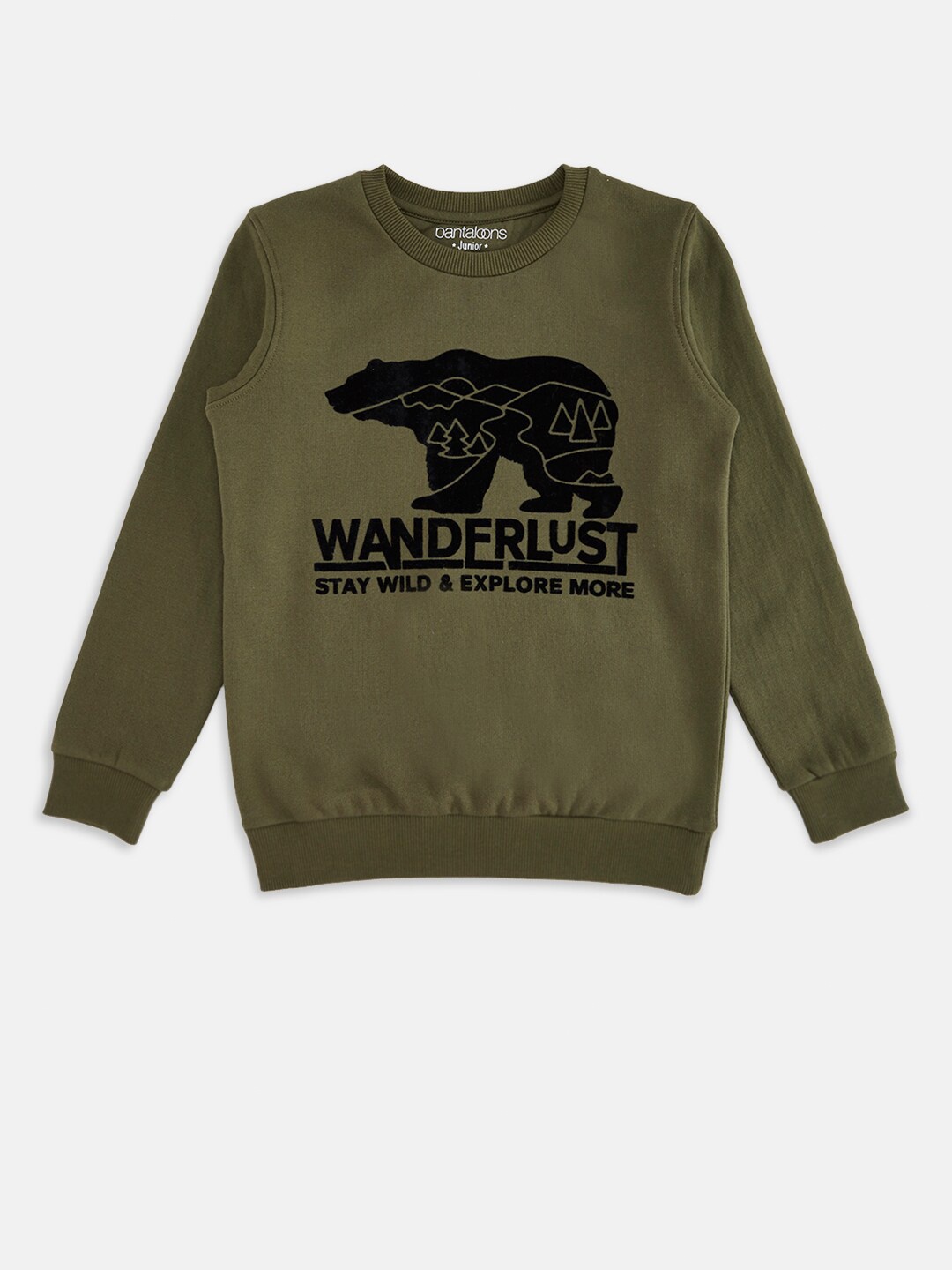 

Pantaloons Junior Boys Olive Green Printed Sweatshirt