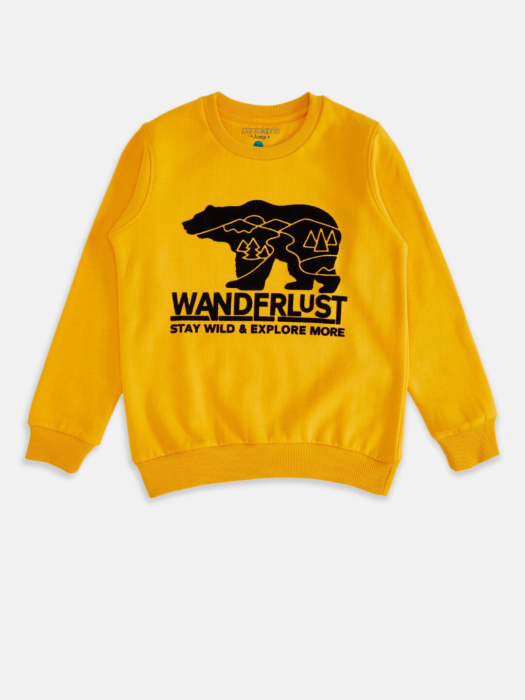 

Pantaloons Junior Boys Mustard Printed Sweatshirt