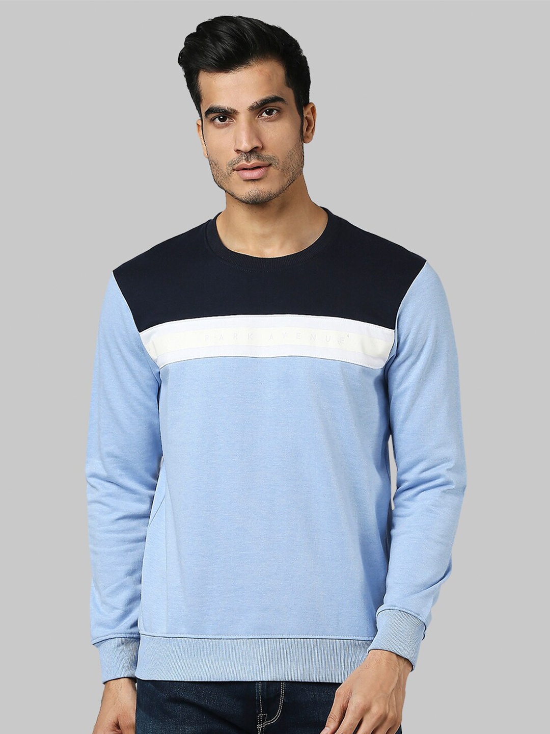 

Park Avenue Men Blue Colourblocked Sweatshirt
