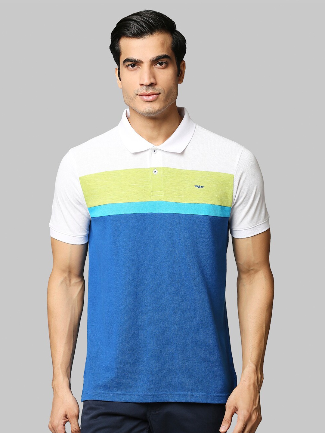 

Park Avenue Men Blue Colourblocked Polo Collar Slim Fit T-shirt